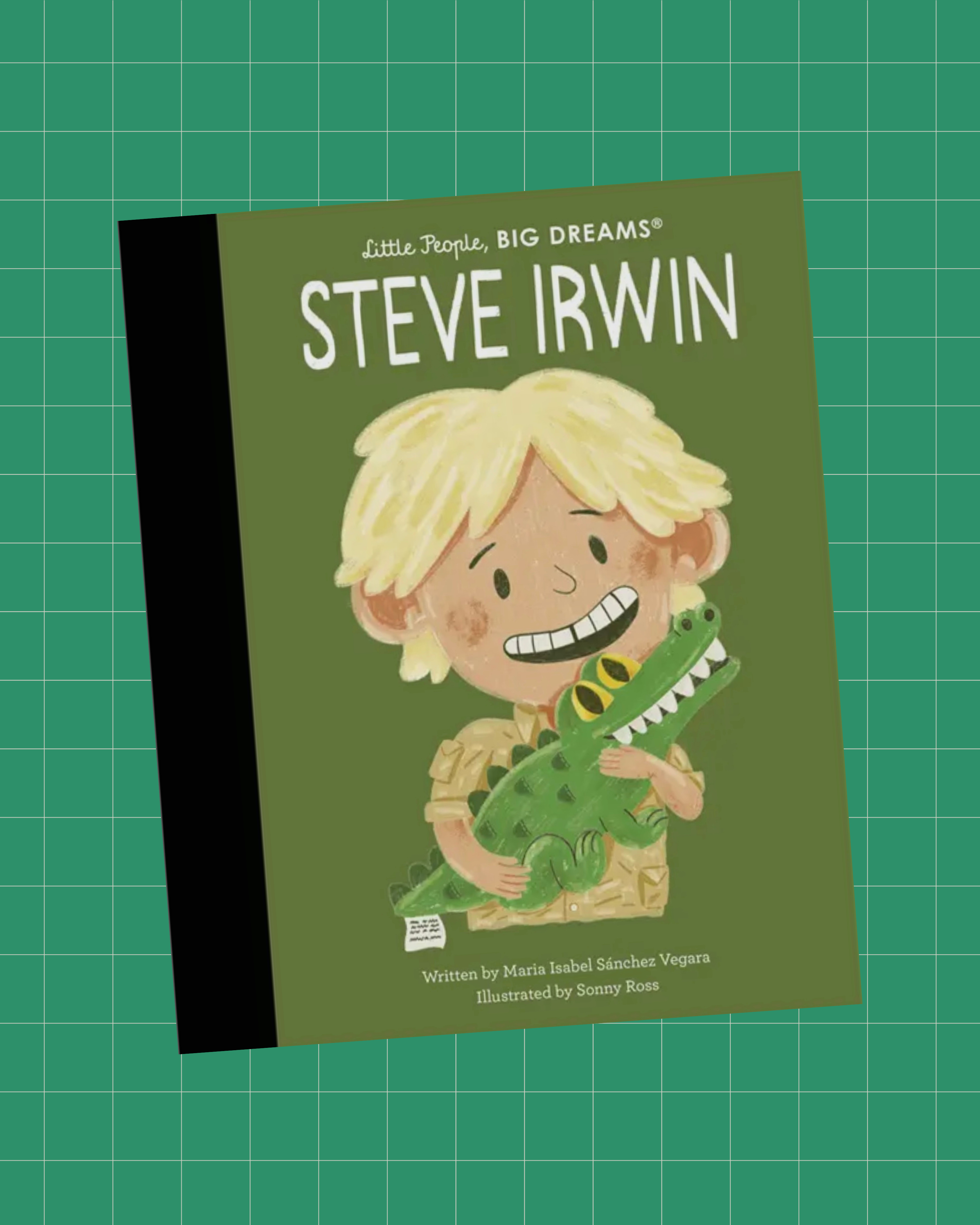 STEVE IRWIN - Little Dreams, Big Dreams